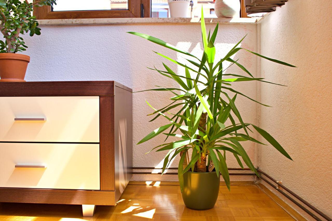 Apartments Kanegra Umag Ngoại thất bức ảnh